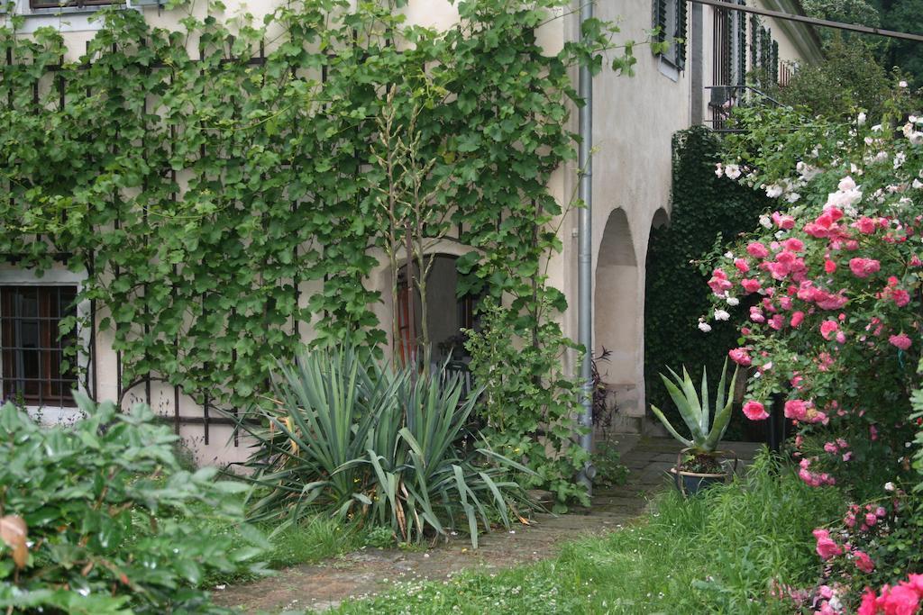 Poncet'Sches Herrenhaus Dresden Oda fotoğraf