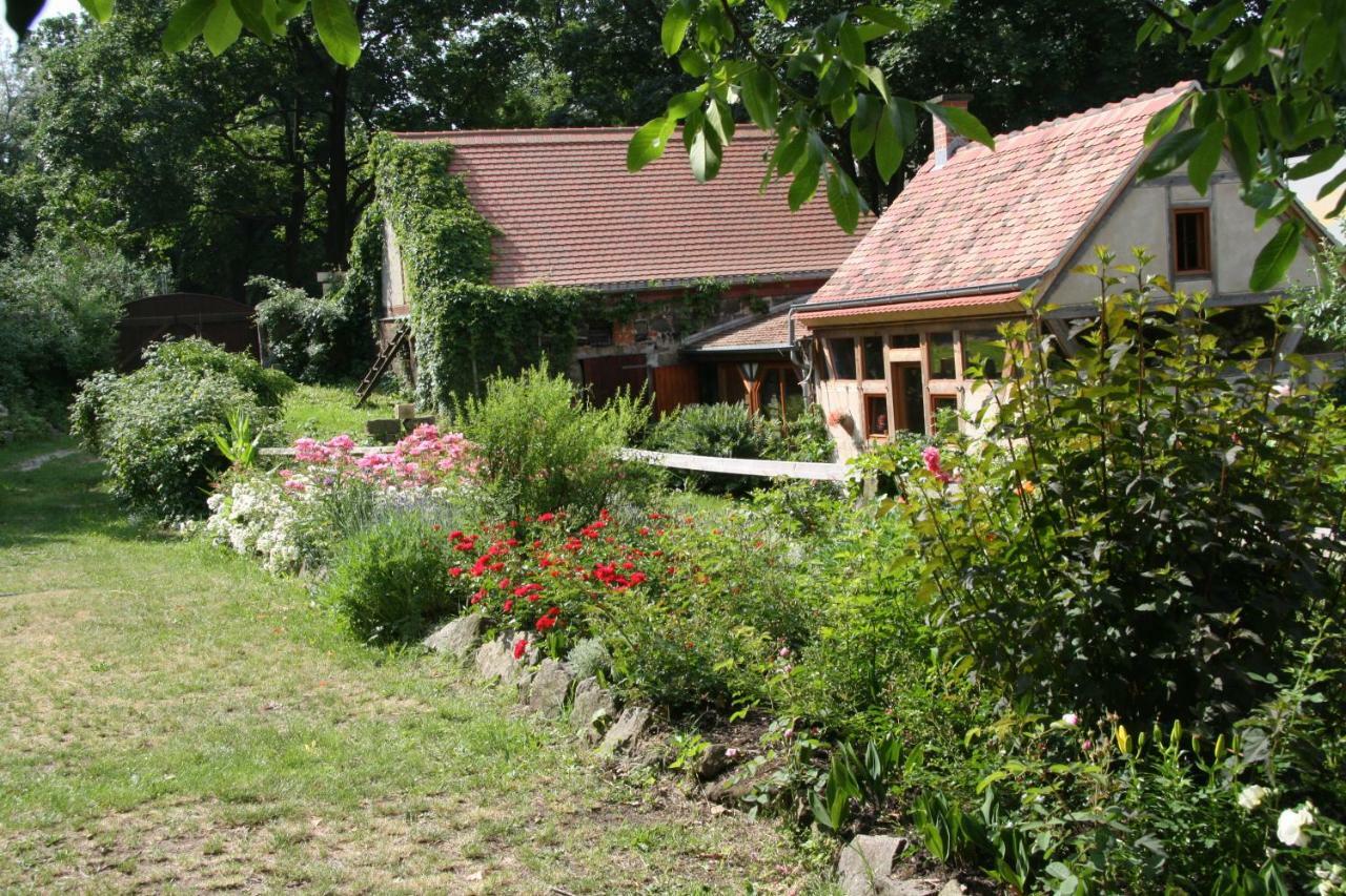 Poncet'Sches Herrenhaus Dresden Dış mekan fotoğraf