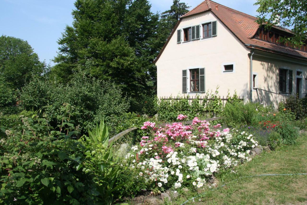 Poncet'Sches Herrenhaus Dresden Dış mekan fotoğraf